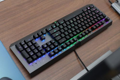 900元的机械键盘，该有什么样的按键手感？——雷蛇黑寡妇蜘蛛X绿轴评测